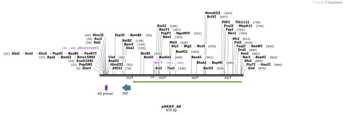 239218_map