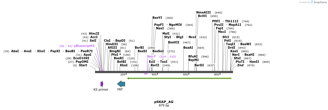 239224_map