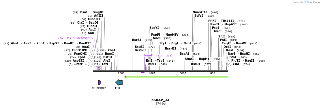 239230_map