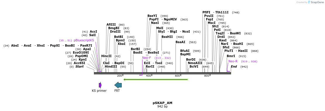 239243_map