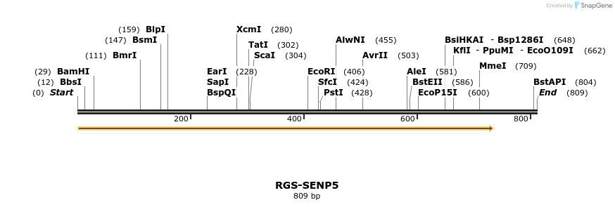23929_map