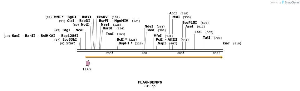 23930_map