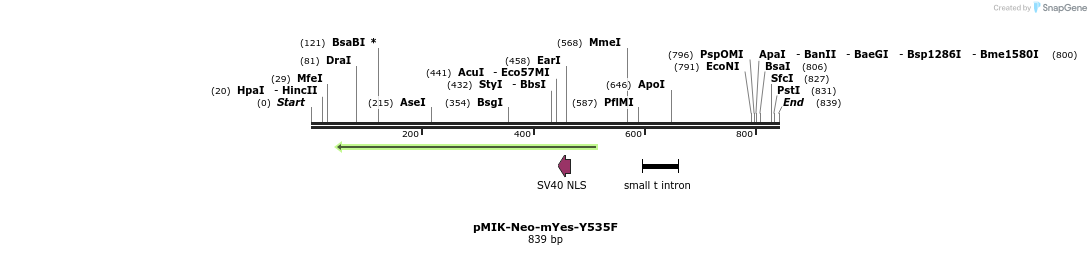 23935_map