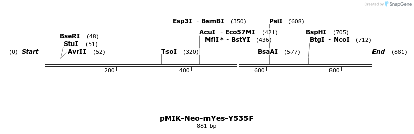 23936_map
