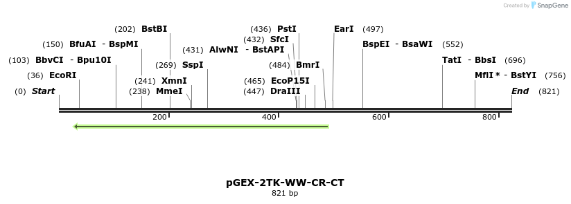 23938_map