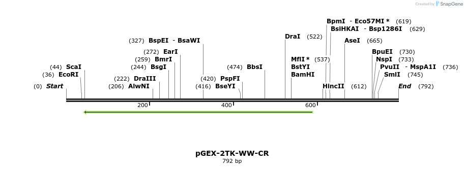 23939_map