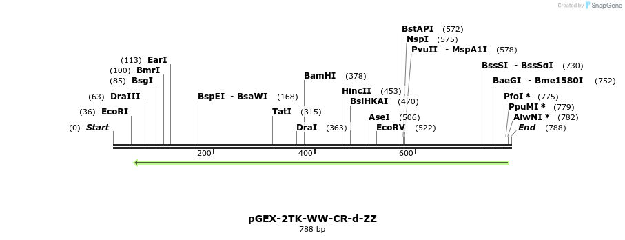 23940_map