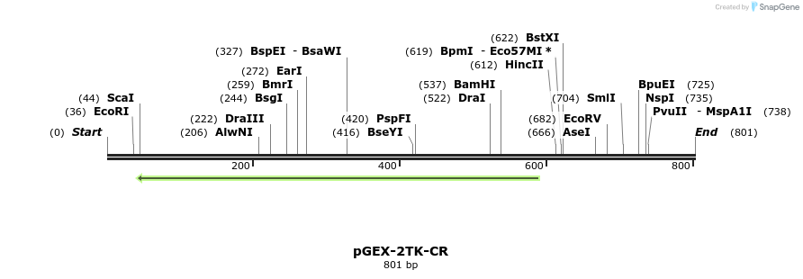 23942_map