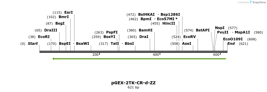 23944_map