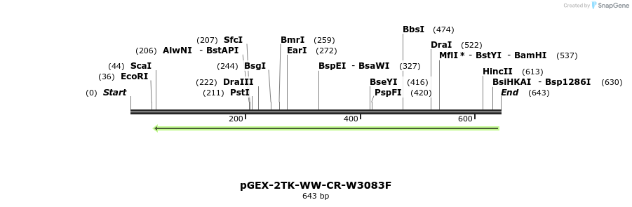 23945_map