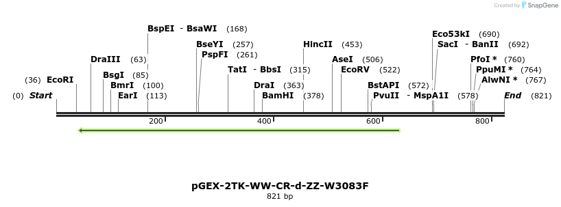 23947_map