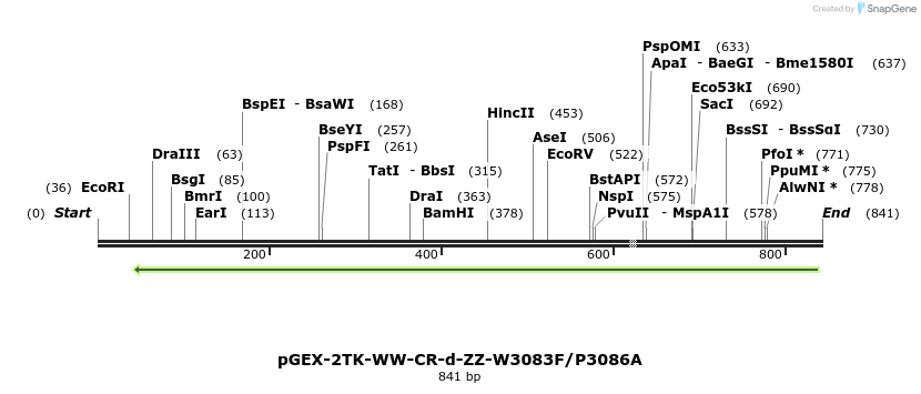 23948_map