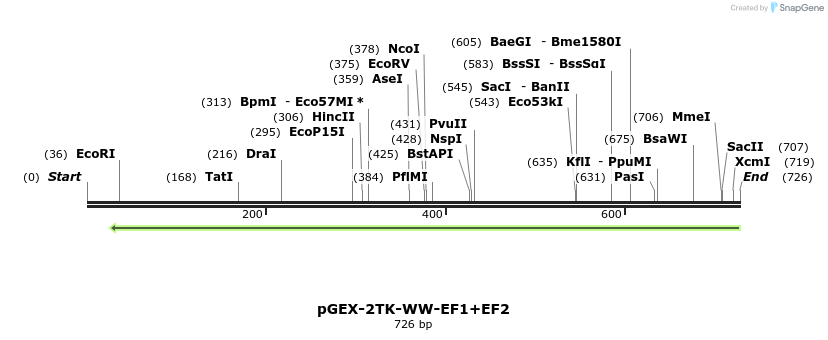 23949_map