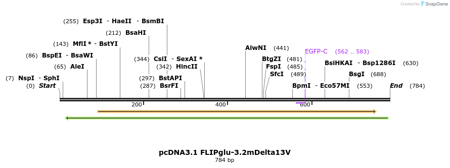 23952_map