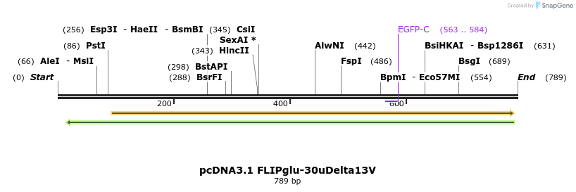 23954_map