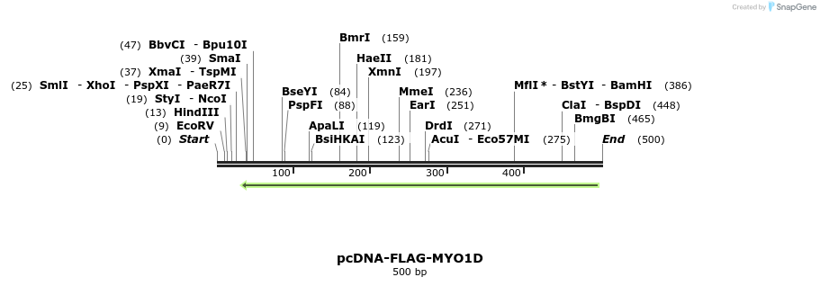 239542_map
