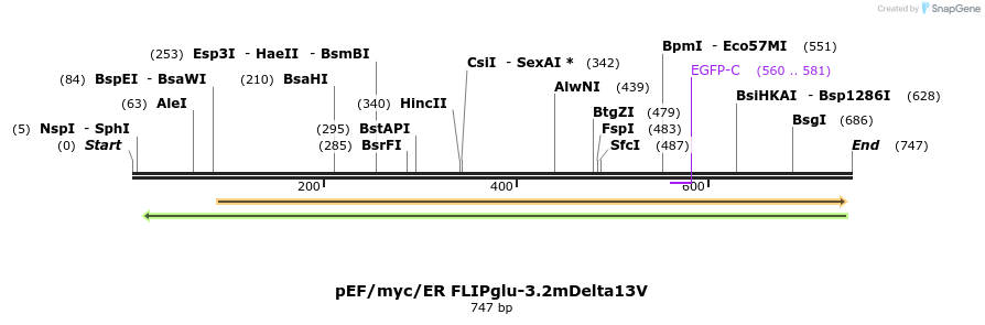 23958_map