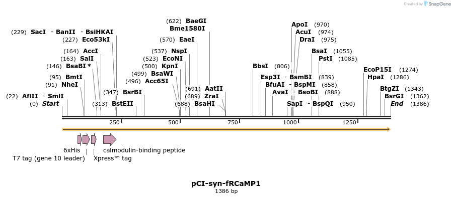 239606_map