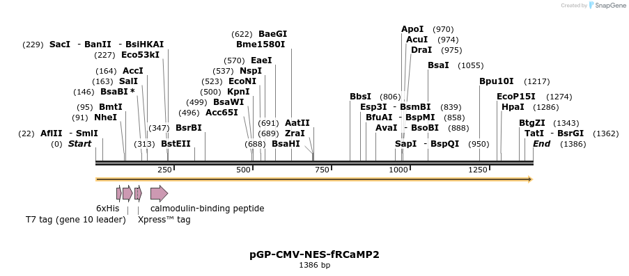 239613_map