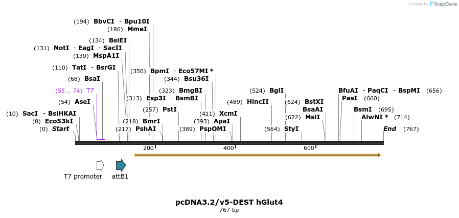 23964_map