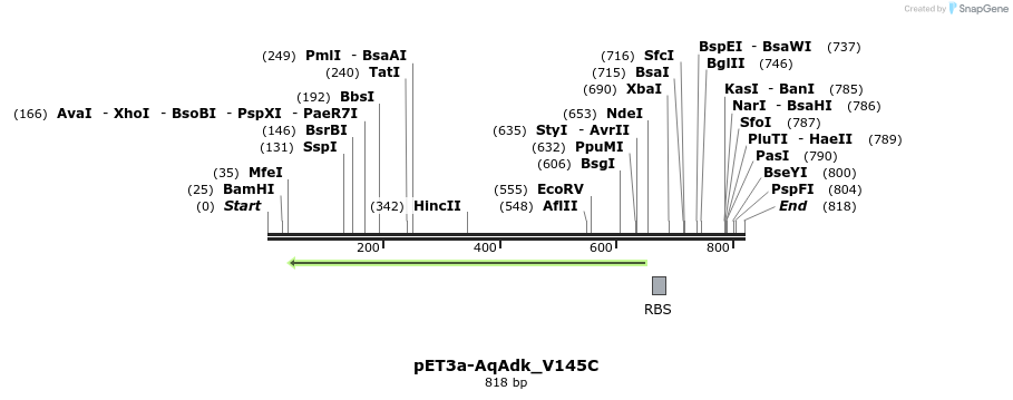 23966_map