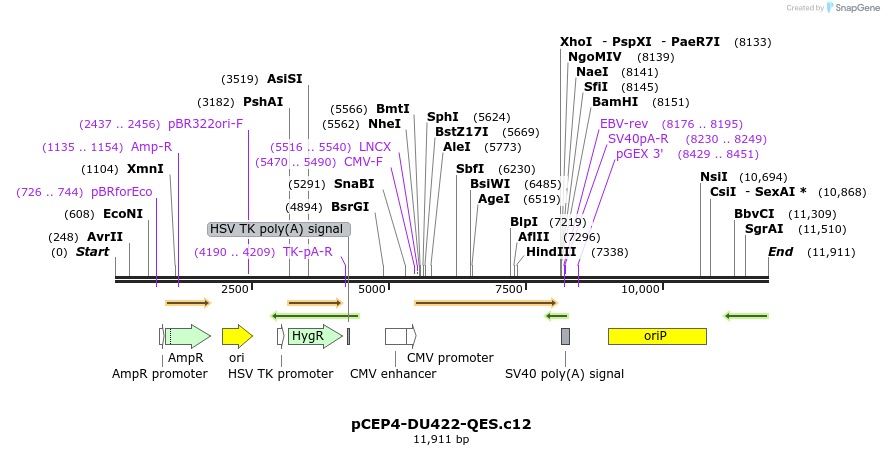 239663_map