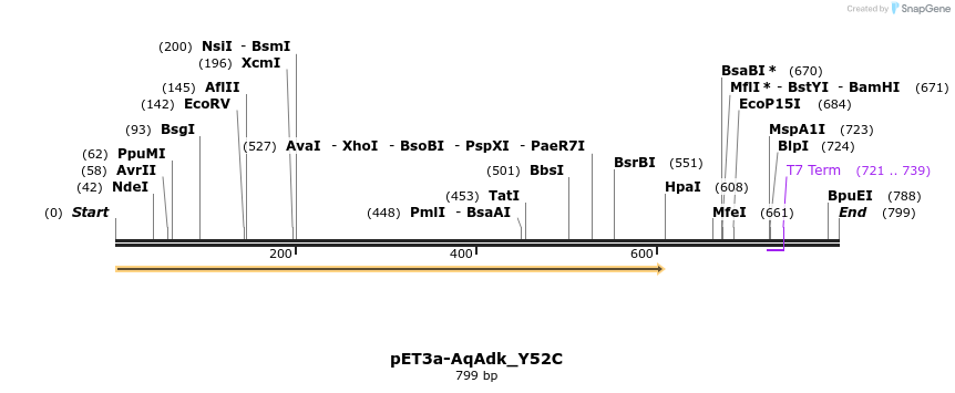 23967_map