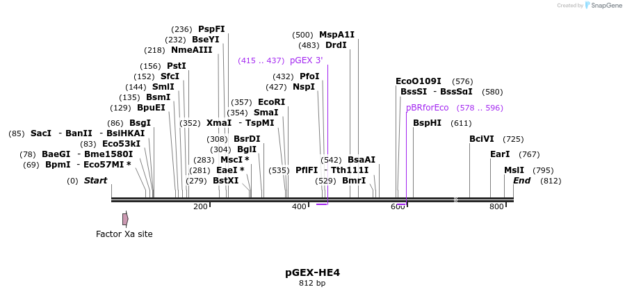 23970_map