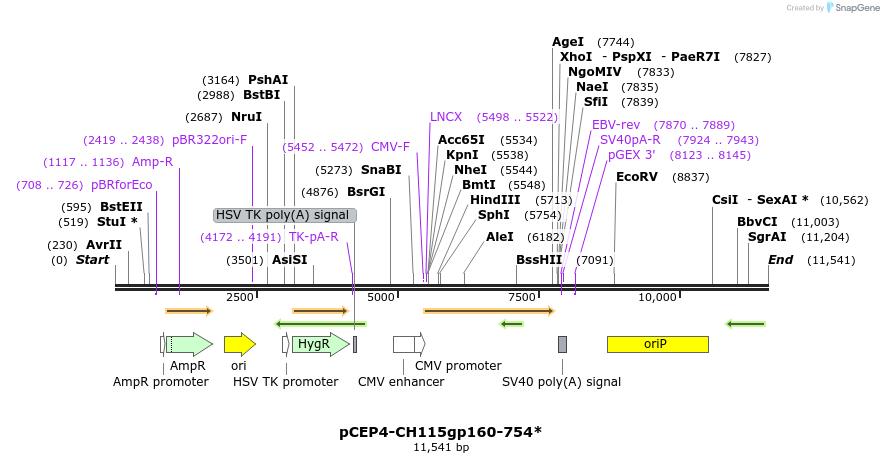 239702_map