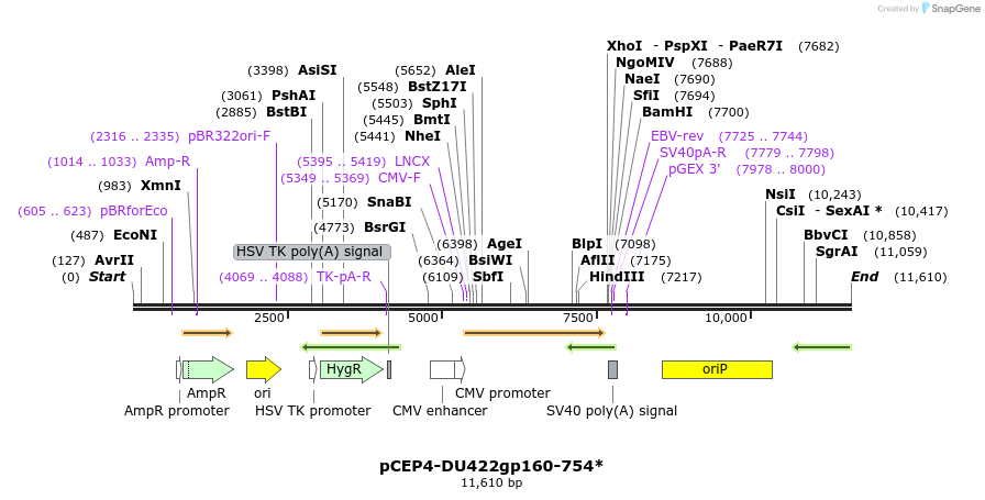 239706_map