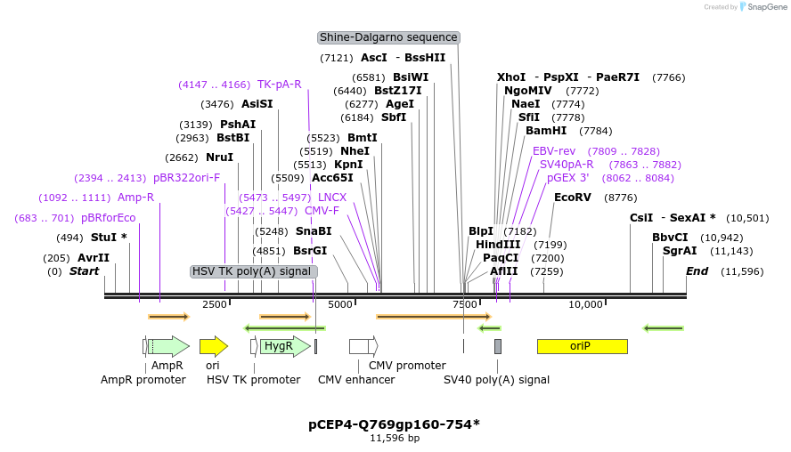 239707_map