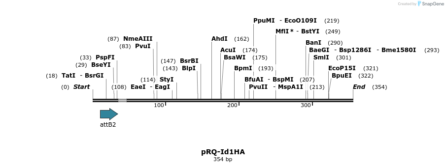 23976_map