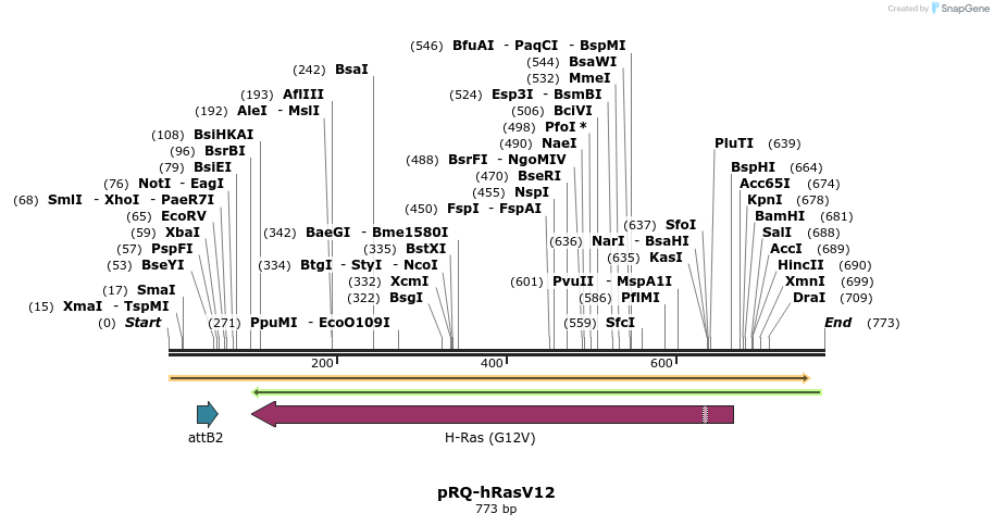 23977_map