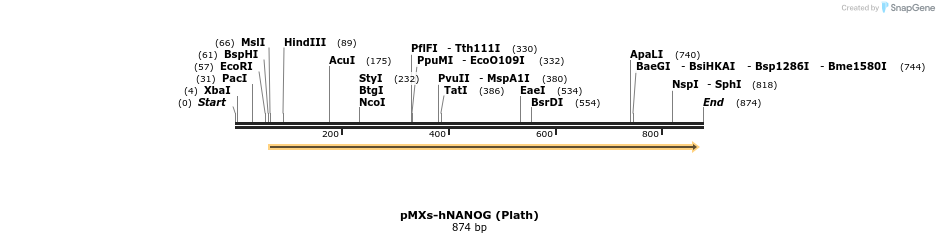 23978_map