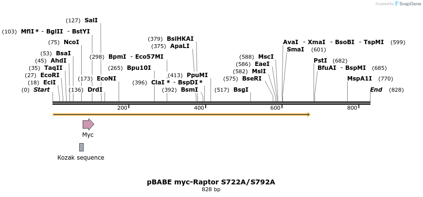 23985_map