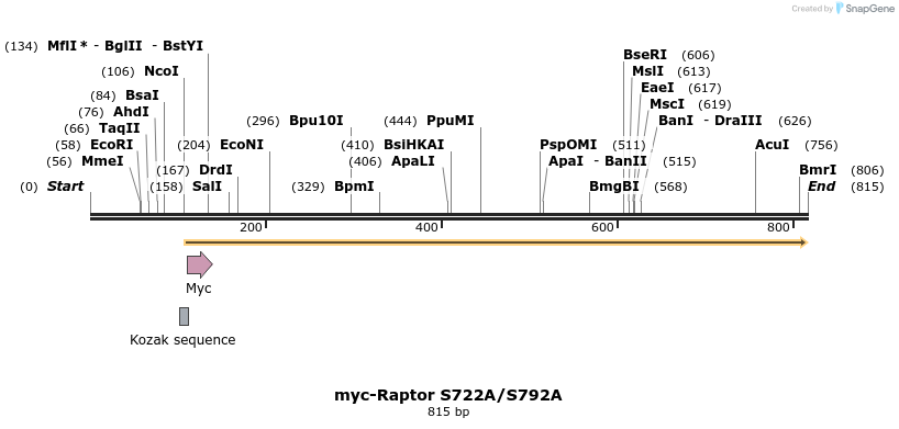 23986_map