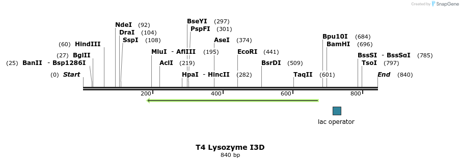 23991_map
