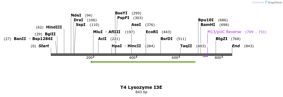 23992_map