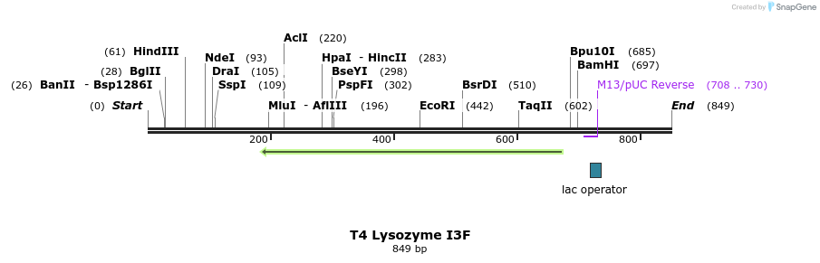 23993_map