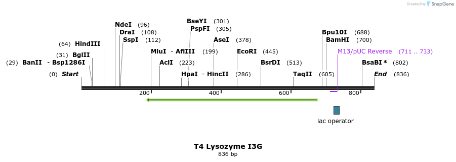 23994_map