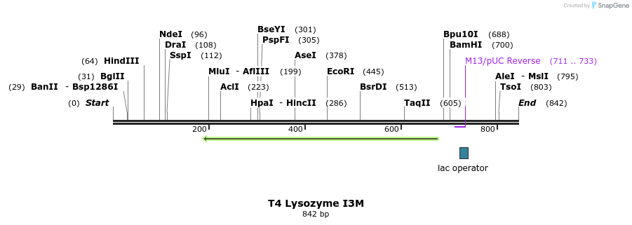 23997_map