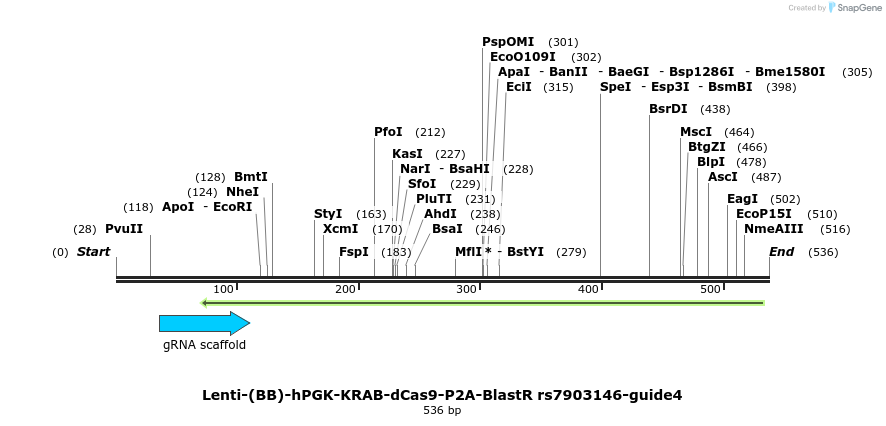 239970_map