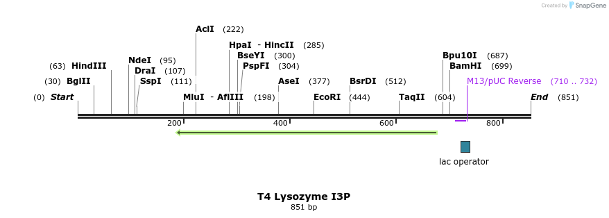 23998_map