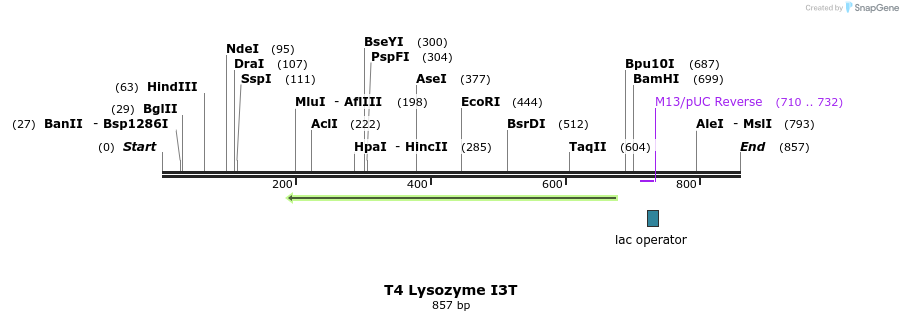 24000_map