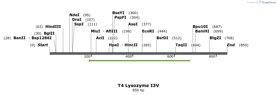 24001_map
