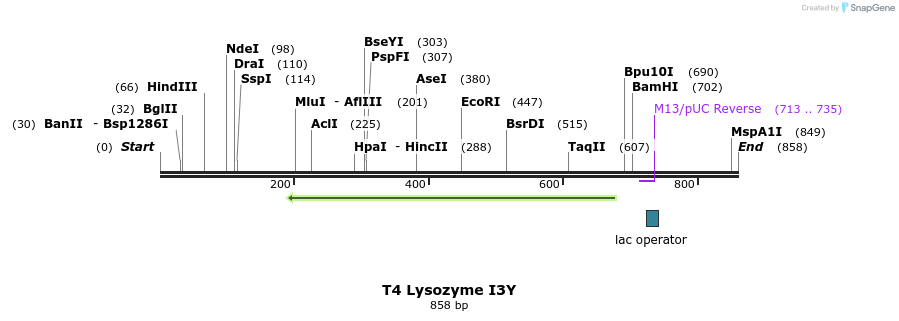 24002_map