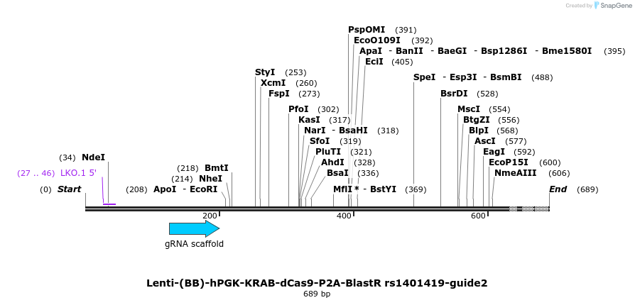 240028_map