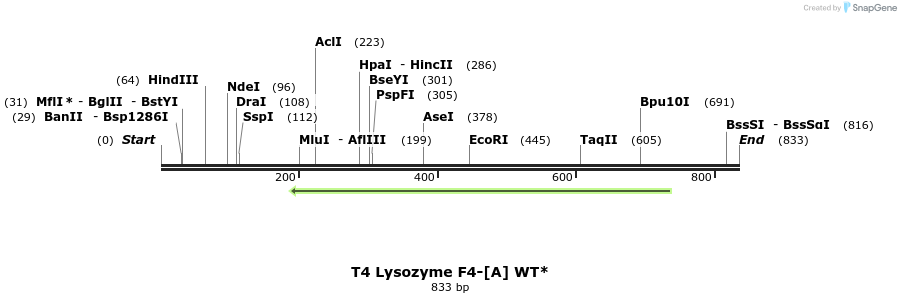 24003_map