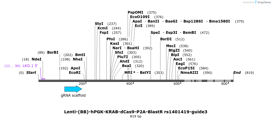 240030_map