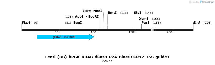 240034_map